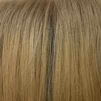 HD Lace Closures 5x5 14" - Rooted Sunset Sand