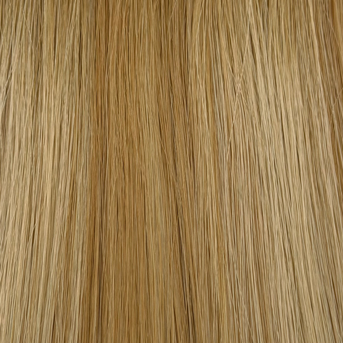 14" Weft Core Collection - Rooted Golden Hour