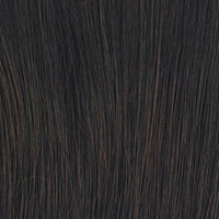Nature Deluxe Long High Heat Fiber Wig