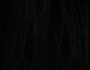 Chagall Tec Deluxe II Human Hair Wig