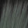 Smoky Forest