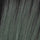 Smoky Forest